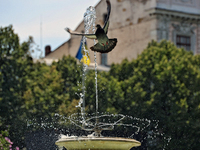 A pigeon is flying past a fountain on a hot summer day in Odesa, Ukraine, on July 13, 2024. NO USE RUSSIA. NO USE BELARUS. (