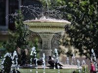 Pigeons are staying by a fountain on a hot summer day in Odesa, Ukraine, on July 13, 2024. NO USE RUSSIA. NO USE BELARUS. (