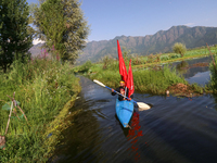 Kashmiri Shia Muslims are mourning as they are taking part in the Ashura procession in boats in the interiors of Dal Lake in Srinagar, India...