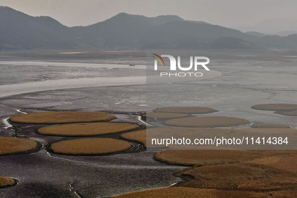 A general view is showing Ramsar Wetland in Suncheon Bay, South Korea. 