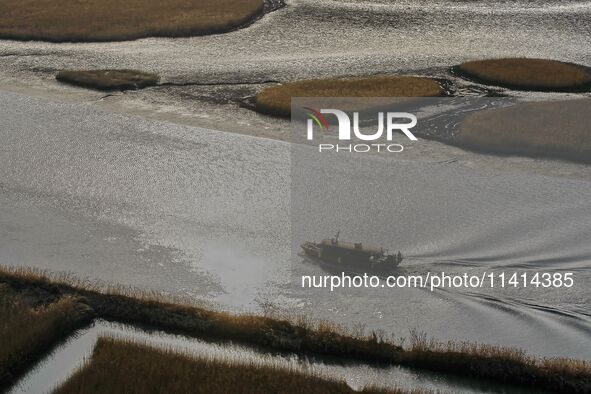 A general view is showing Ramsar Wetland in Suncheon Bay, South Korea. 