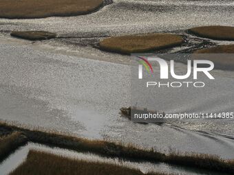 A general view is showing Ramsar Wetland in Suncheon Bay, South Korea. (