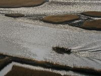 A general view is showing Ramsar Wetland in Suncheon Bay, South Korea. (