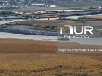 A general view is showing Ramsar Wetland in Suncheon Bay, South Korea. (