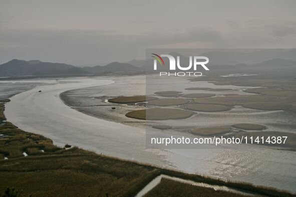 A general view is showing Ramsar Wetland in Suncheon Bay, South Korea. 