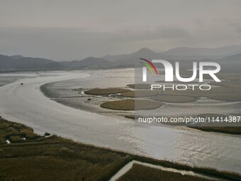 A general view is showing Ramsar Wetland in Suncheon Bay, South Korea. (