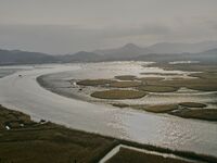 A general view is showing Ramsar Wetland in Suncheon Bay, South Korea. (