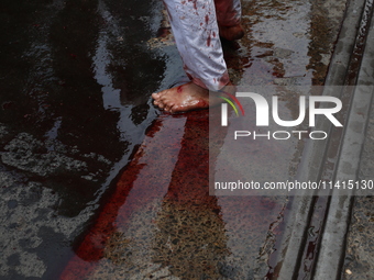 A Shi'ite Muslim is standing on a road after flagellating himself during a Muharram procession marking Ashura, in Kolkata, India, on July 17...