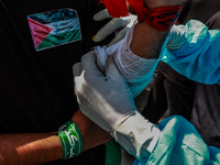 Shiite people are wearing Palestine flag stickers on their clothes while Muslims are chanting religious slogans as they take part in an Ashu...