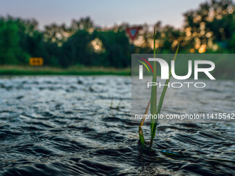 The Sugar River in Albany, WI, is swelling above flood stage after back-to-back derechos are hitting parts of the Midwest, including Wiscons...