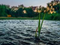 The Sugar River in Albany, WI, is swelling above flood stage after back-to-back derechos are hitting parts of the Midwest, including Wiscons...