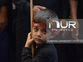 A Kashmiri Shia Muslim kid is participating in the Ashura procession in Srinagar, Indian Administered Kashmir, on July 17, 2024. (