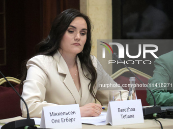 Tetiana Berezhna, Deputy Minister of Economy of Ukraine, is attending the meeting of the Council for Human Rights, Gender Equality, and Dive...