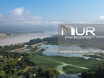 A photo is showing the sunny scenery of the Sanmenxia section of the Yellow River in Sanmenxia, China, on July 18, 2024. (