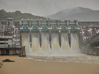 Daecheong Dam is discharging 500 tons of water per second to lower the water level amid heavy rain in Cheongju, around 140 kilometers south...