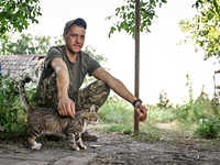 A serviceman of the 24th King Danylo Separate Mechanized Brigade, who goes by the call sign of Myron, is petting a cat at combat positions n...