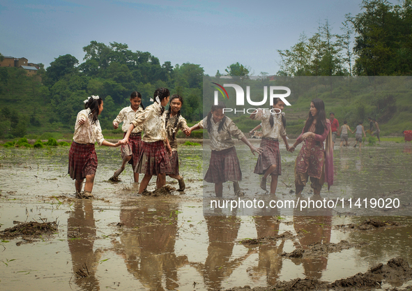 Students are cooling off in a rice paddy outside of Kathmandu, Nepal, on June 28, 2012. 