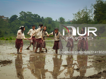 Students are cooling off in a rice paddy outside of Kathmandu, Nepal, on June 28, 2012. (