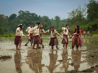 Students are cooling off in a rice paddy outside of Kathmandu, Nepal, on June 28, 2012. (