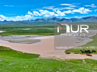 Reddish-brown water is meandering through a channel on the Tibetan Plateau in the upper reaches of Heihe River, China's second largest inlan...