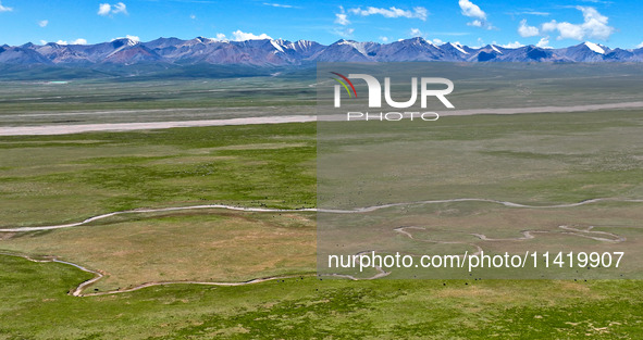 Reddish-brown water is meandering through a channel on the Tibetan Plateau in the upper reaches of Heihe River, China's second largest inlan...