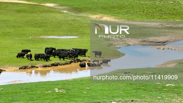 Reddish-brown water is meandering through a channel on the Tibetan Plateau in the upper reaches of Heihe River, China's second largest inlan...