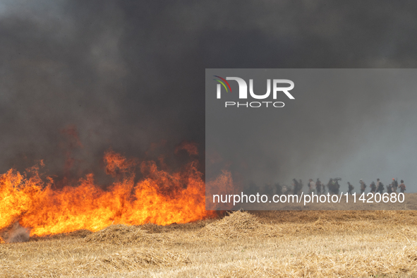 Protesters are walking past a wildfire started by a launched tear gas canister during a march as part of a rally against the construction of...