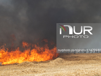 Protesters are walking past a wildfire started by a launched tear gas canister during a march as part of a rally against the construction of...