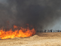 Protesters are walking past a wildfire started by a launched tear gas canister during a march as part of a rally against the construction of...