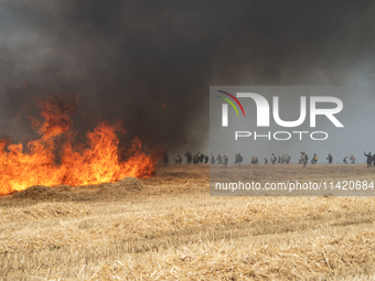 Protesters are walking past a wildfire started by a launched tear gas canister during a march as part of a rally against the construction of...