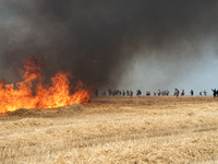 Protesters are walking past a wildfire started by a launched tear gas canister during a march as part of a rally against the construction of...