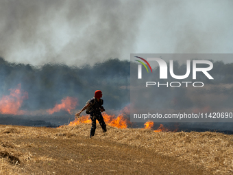 A protester is walking towards a wildfire started by a launched tear gas canister during a march as part of a rally against the construction...