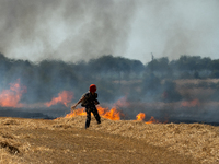 A protester is walking towards a wildfire started by a launched tear gas canister during a march as part of a rally against the construction...