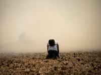 A protester is sitting in front of a wildfire started by a launched tear gas canister during a march as part of a rally against the construc...