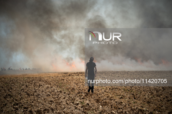 A protester is walking towards a wildfire started by a launched tear gas canister during a march as part of a rally against the construction...