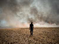 A protester is walking towards a wildfire started by a launched tear gas canister during a march as part of a rally against the construction...