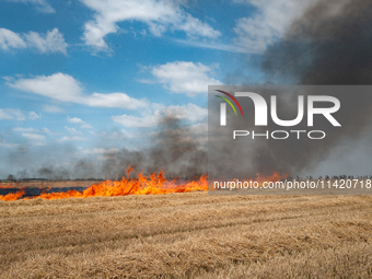 Protesters are walking past a wildfire started by a launched tear gas canister during a march as part of a rally against the construction of...