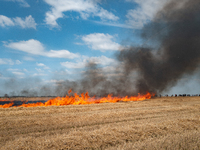 Protesters are walking past a wildfire started by a launched tear gas canister during a march as part of a rally against the construction of...