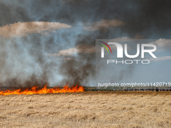 Protesters are walking past a wildfire started by a launched tear gas canister during a march as part of a rally against the construction of...