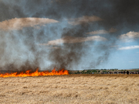 Protesters are walking past a wildfire started by a launched tear gas canister during a march as part of a rally against the construction of...