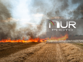 A wildfire is starting by a launched tear gas canister during a march as part of a rally against the construction of a giant water reservoir...