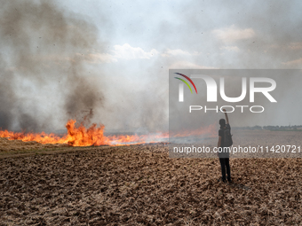 A protester is walking towards a wildfire started by a launched tear gas canister during a march as part of a rally against the construction...