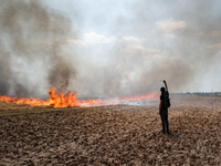 A protester is walking towards a wildfire started by a launched tear gas canister during a march as part of a rally against the construction...