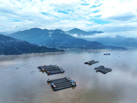 Ships are docking in the upstream waters of the Three Gorges Dam after the water level has dropped and are waiting to pass through the sluic...