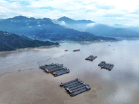 Ships are docking in the upstream waters of the Three Gorges Dam after the water level has dropped and are waiting to pass through the sluic...