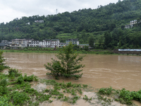 Floodwaters are inundating farmland and trees along the banks of the Tunpu section of Qingjiang River in Enshi, Hubei province, China, on Ju...