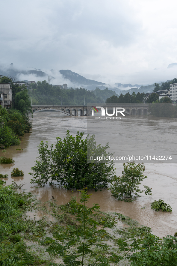 Floodwaters are inundating farmland and trees along the banks of the Tunpu section of Qingjiang River in Enshi, Hubei province, China, on Ju...