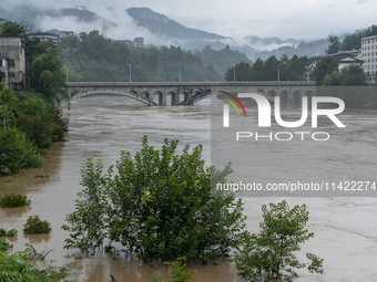 Floodwaters are inundating farmland and trees along the banks of the Tunpu section of Qingjiang River in Enshi, Hubei province, China, on Ju...