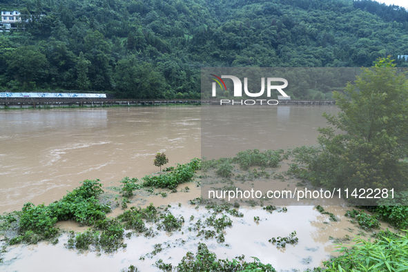 Floodwaters are inundating farmland and trees along the banks of the Tunpu section of Qingjiang River in Enshi, Hubei province, China, on Ju...