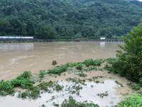 Floodwaters are inundating farmland and trees along the banks of the Tunpu section of Qingjiang River in Enshi, Hubei province, China, on Ju...